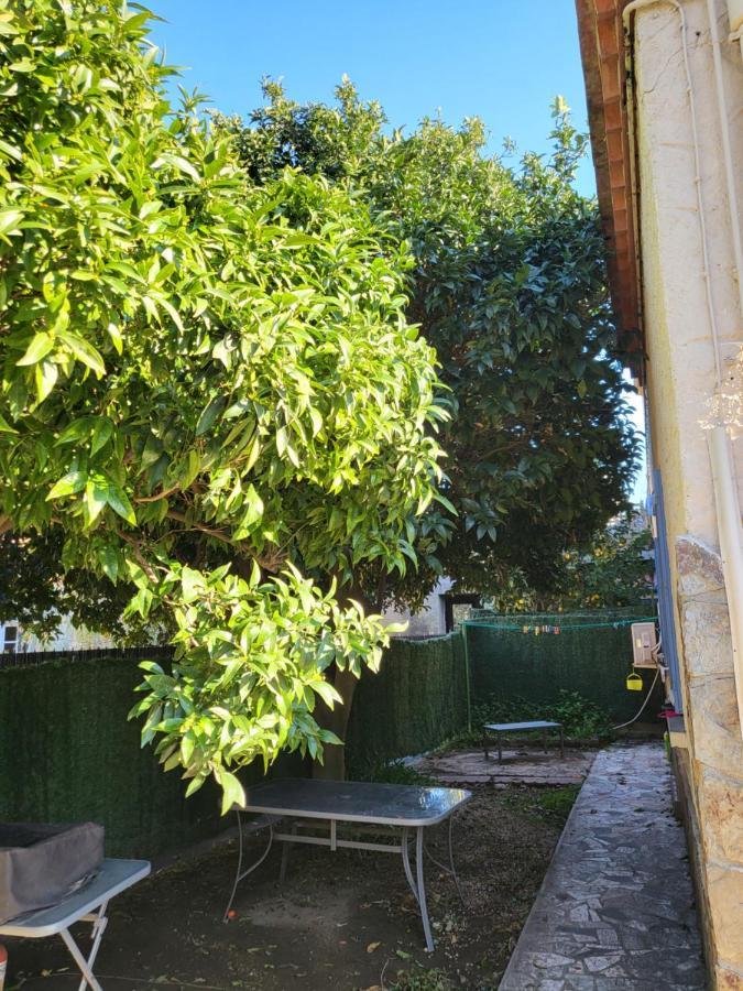 Clementine Apartment Collioure Bagian luar foto